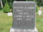 tntn150_WilliamDodge_CarrieWales.jpg